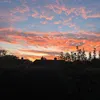 niwandakendall