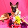 anyathegsd