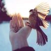 eng.niveenabuthorya