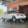 lezginnn410