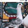 منقذ سالم 🇯🇴