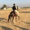 asimraja929