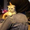 fatma__gul
