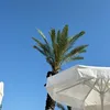 pamilo1