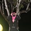 cityboyghost423