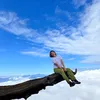 nguyenvilladalat79