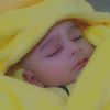 noorhassan19806