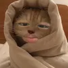 coabelqdsiudangiu
