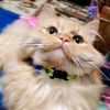 maryoma_421