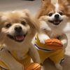 Kobe & Mello