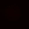 dan_berry_6
