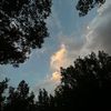 zoz_alsultan