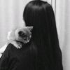 zaa_shu