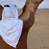 88saudiarabia