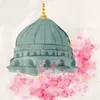shirinahmed1468