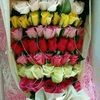 nairaahmed001