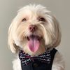 mrwinstonla