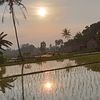mukhidin_1