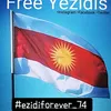 74_forever