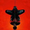 simulationtheory101