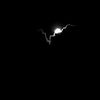 night_7007