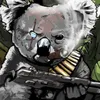 sargentomayorkoala