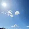 ssn3006