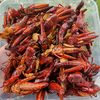 Walang goreng khas gunungkidul