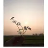 user4zsrsrmmw7
