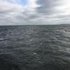 davidolson78