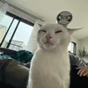 lollita_19
