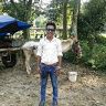 bimalthapa60