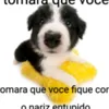 muisa_laria