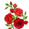 flowerred88