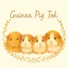 guineapigtok_4