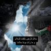 nariman001985