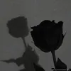 user78302744