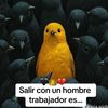 dontony_7
