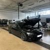 maffia753