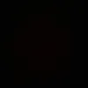 lxrx_31