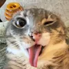 eusoududa_18