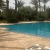 user04025937