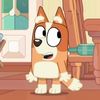 jayof.allcos