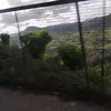 acu_syng