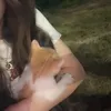 shush4_sh