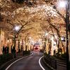 tokio.rio