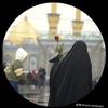 786syedzadiii