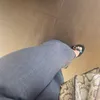 sparklxs_07
