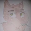 rockythewolf2020