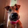 nathanielsmit66